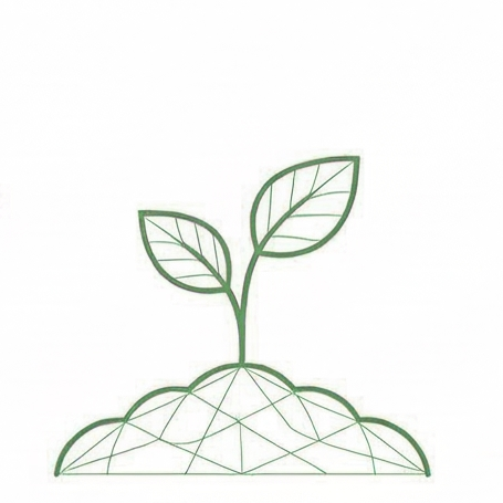 Sprout Stage Icon